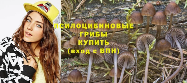 jwh Алзамай