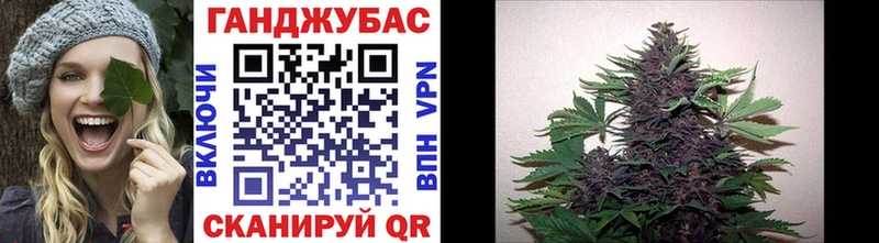Бошки Шишки сатива  где найти наркотики  Балей 